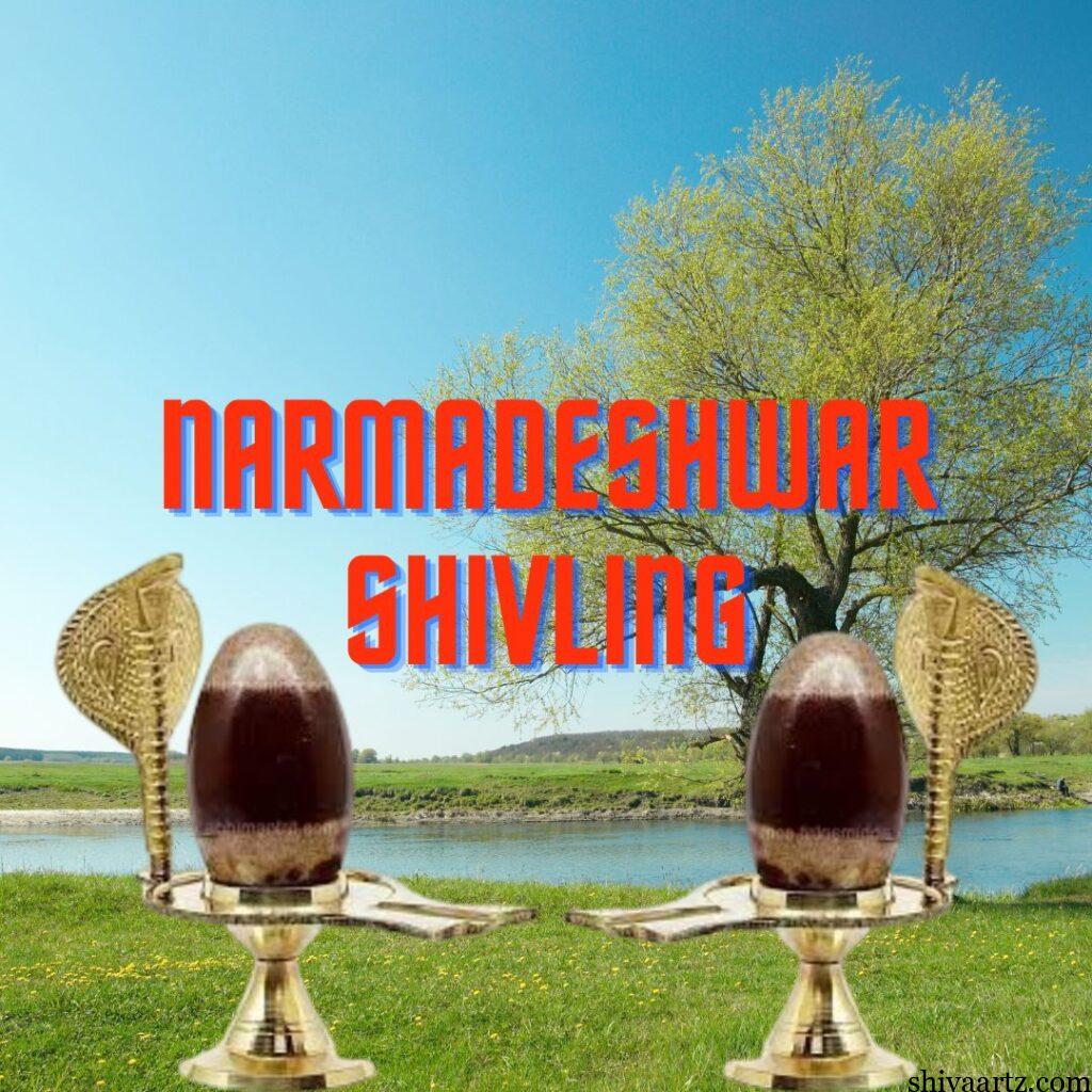 NARMADESHWAR SHIVLING