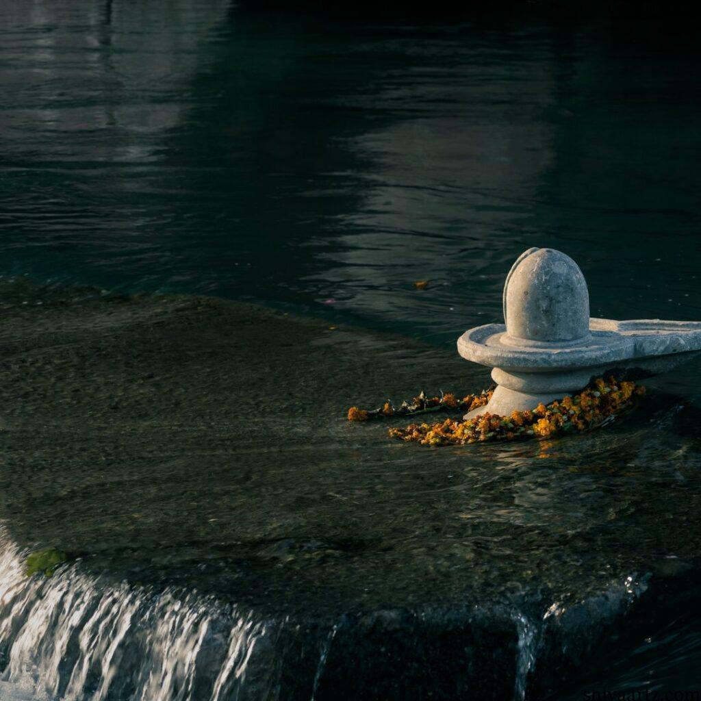 NARMADESHWAR SHIVLING